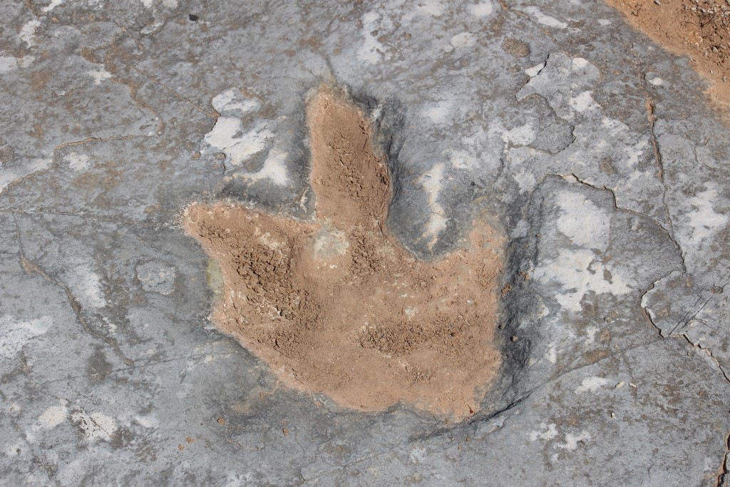 Dinossaur footprint in Serra dos Candeeiros